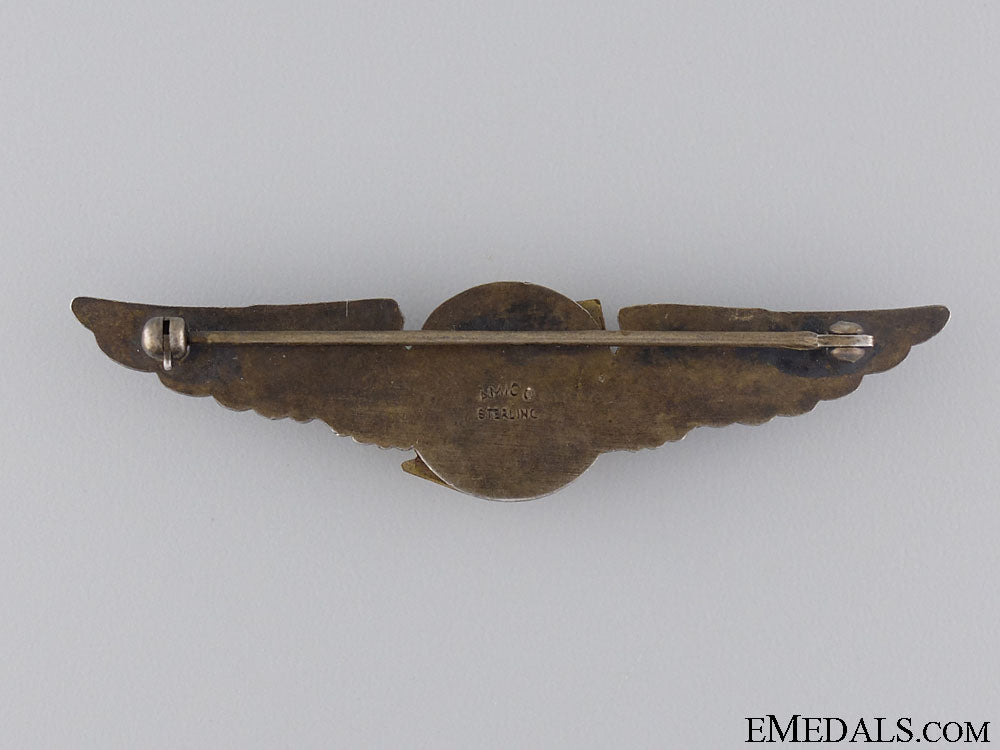 an_american_wwii_photographer's_wings_10.jpg543d3be268ba5