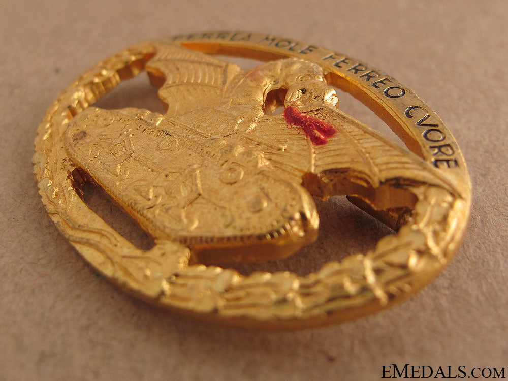wwii_italian_tank_badge_10.jpg5183eea12cd0b