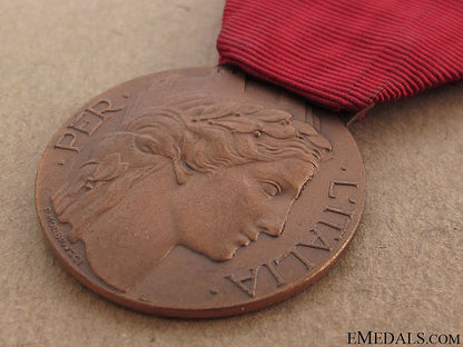 merit_medal_for_volunteers_of_the1940-45_war_12.jpg511420845ba64