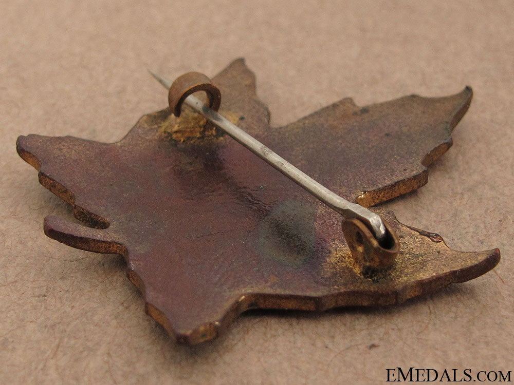 wwi_niagara_camp_sweetheart_pin_14.jpg51c9cfc675241