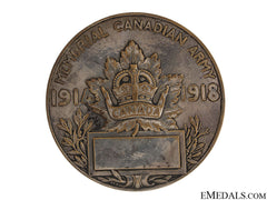 Wwi Capture Of Vimy Ridge Medal