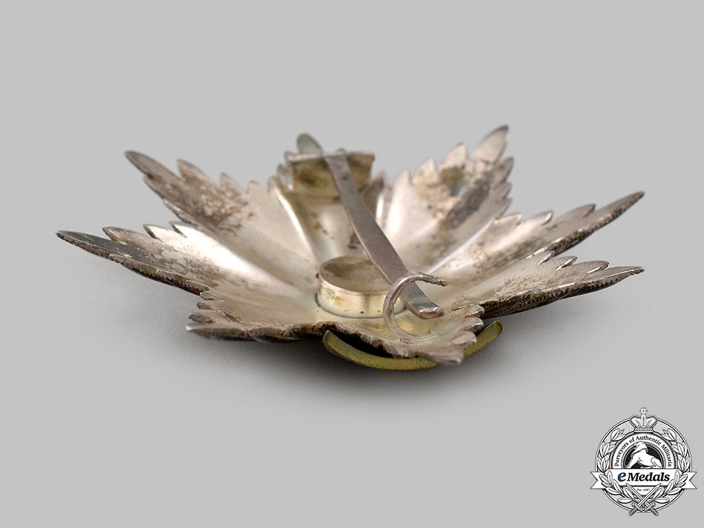 denmark,_kingdom._an_order_of_the_dannebrog,_grand_cross_star,_c.1965_14_m21_mnc3827_1_1