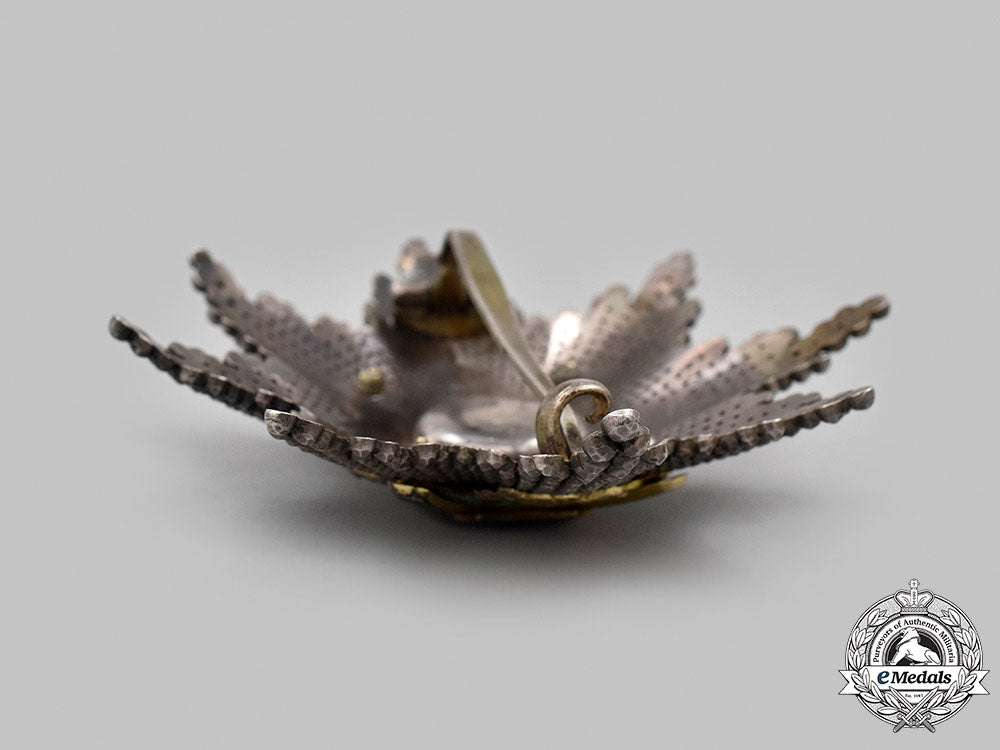 serbia,_kingdom._an_order_of_the_cross_of_takovo,_i_class_grand_cross_star,_by_karl_fischmeister_14_m21_mnc4803