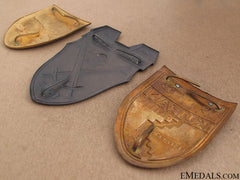 Three Campaign Shields