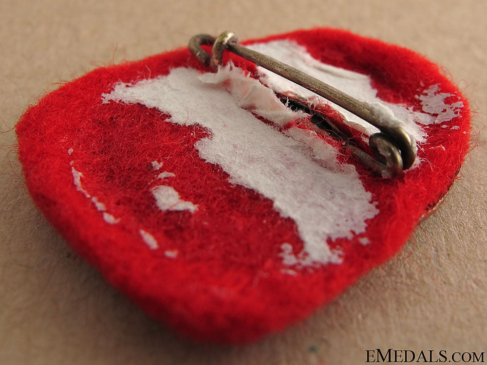 wwi6_th_austrian_army_insignia,1914_21.jpg514b70e0d21cd