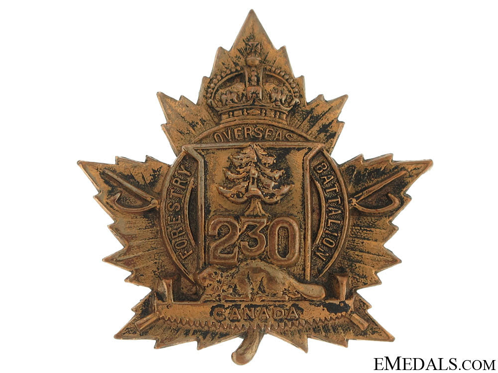 230_th_cef_battalion_cap_badge_230th_cef_battal_510bfd6e527b2
