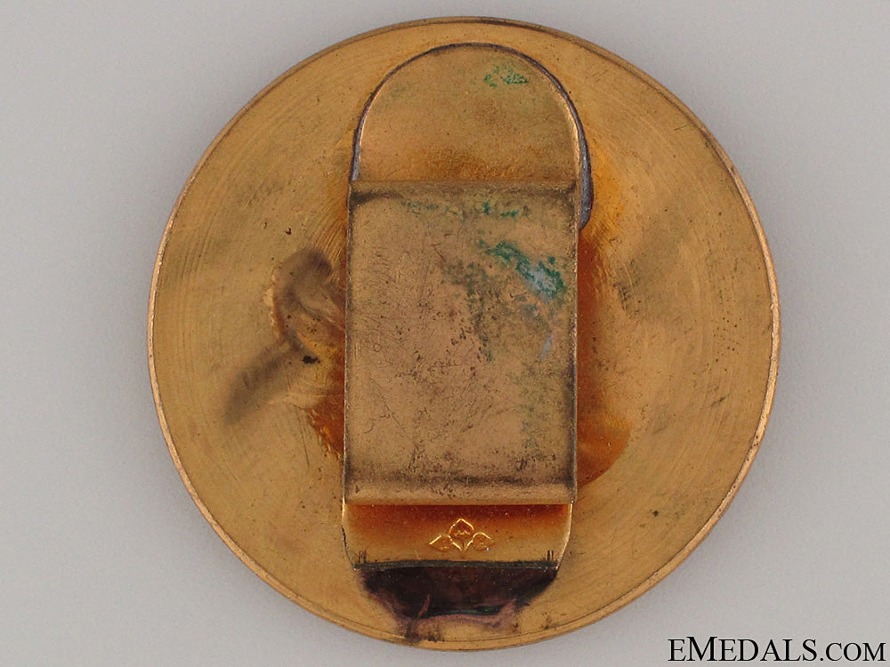 wwi_austrian_artillery_qualification_badge_2.jpg52419efa8c9ee