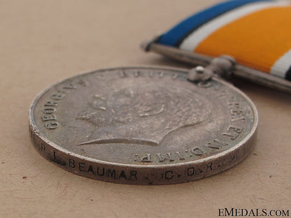 british_war_medal-_central_ontario_regiment_35.jpg50927179bf62f