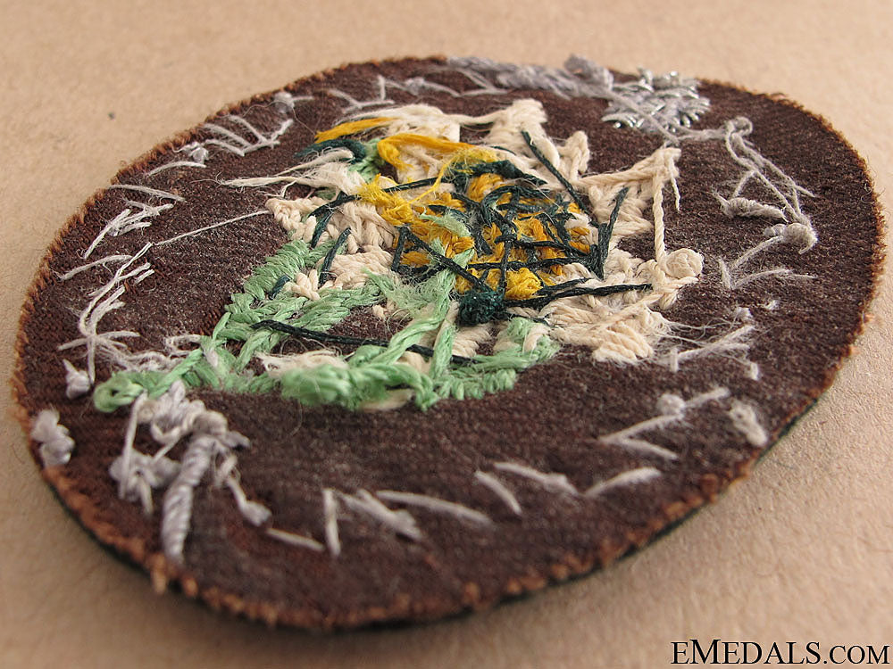 mountain_troops_sleeve_edelweiss_38.jpg5149c789d965d