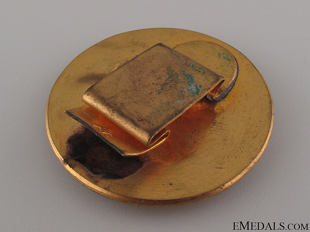 wwi_austrian_artillery_qualification_badge_4.jpg52419f064261e