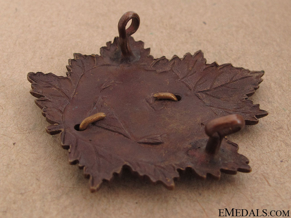 wwii_fort_garry_horse_officer_cap_badge_4.jpg51b5df8b15201