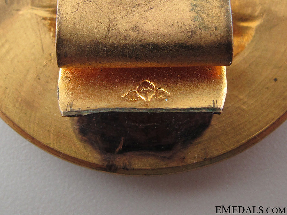 wwi_austrian_artillery_qualification_badge_5.jpg52419f0d4ddff