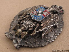 Romanian Military Academy Instructors Badge