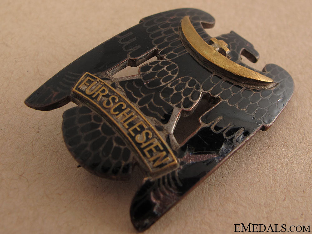 silesian_eagle_first_class_64.jpg516306e9aaa9e