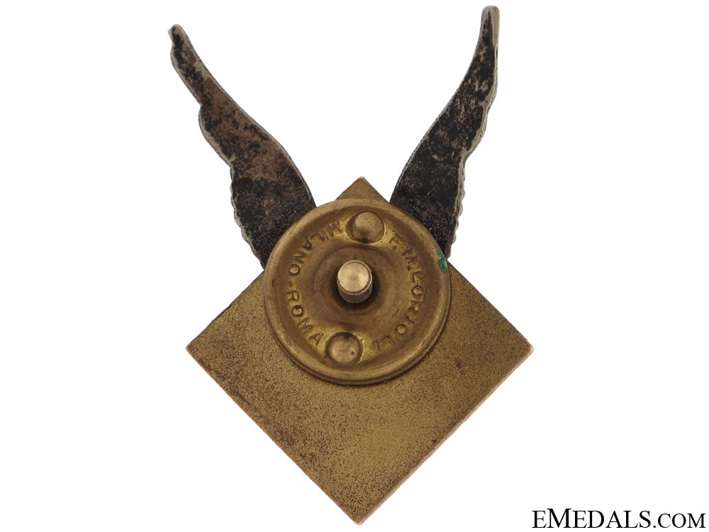 rare_polish663_squadron_raf_badge_67.jpg50d5cca24b738