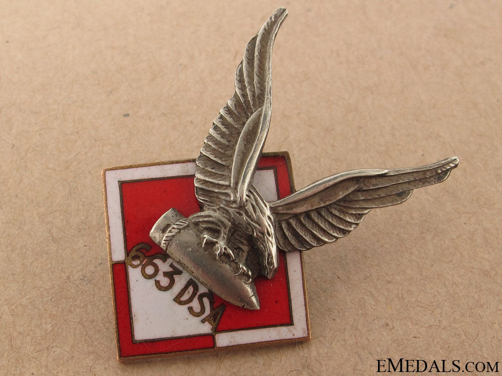 rare_polish663_squadron_raf_badge_68.jpg50d5cca943397