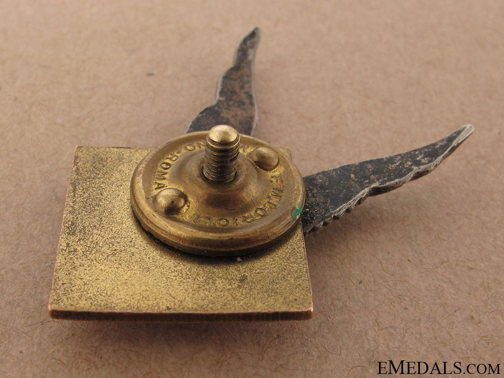 rare_polish663_squadron_raf_badge_69.jpg50d5ccb09082a