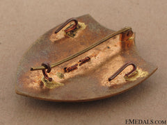 Falange Naval Air Force Badge