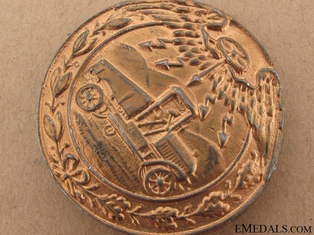 driver_of_heavy_vehicle_badge1912_8.jpg5081542b0477c