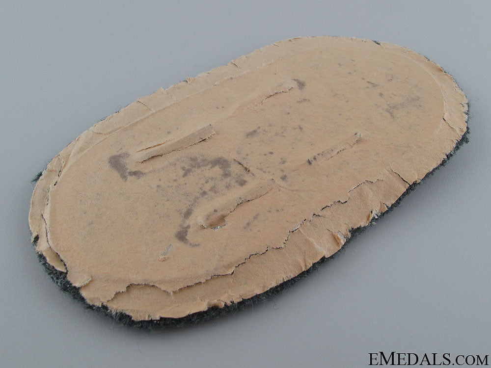 narvik_campaign_shield-_army_issue_9.jpg52387a032b2ff