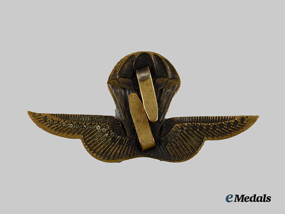 hungary,_kingdom._a_rare_w_w_i_i_parachute_troop_badge__a_i1_0285