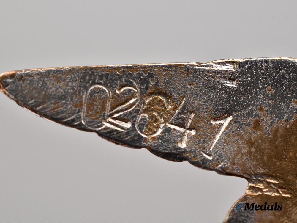 czechoslovakia,_i_republic._a_pilot_badge_with_collar_insignia,_c.1935___m_n_c0809