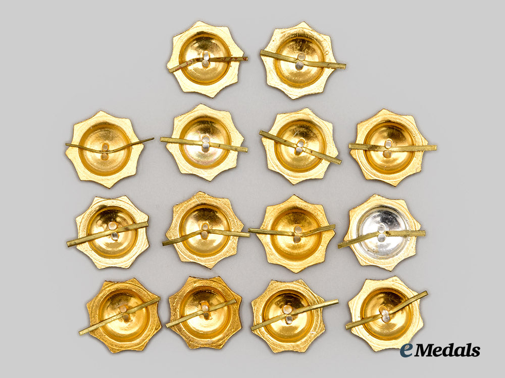 ukraine,_republic._a_group_of_fourteen_mint_and_unissued_auxiliary_police_cap_badges,_c.2000___m_n_c1482