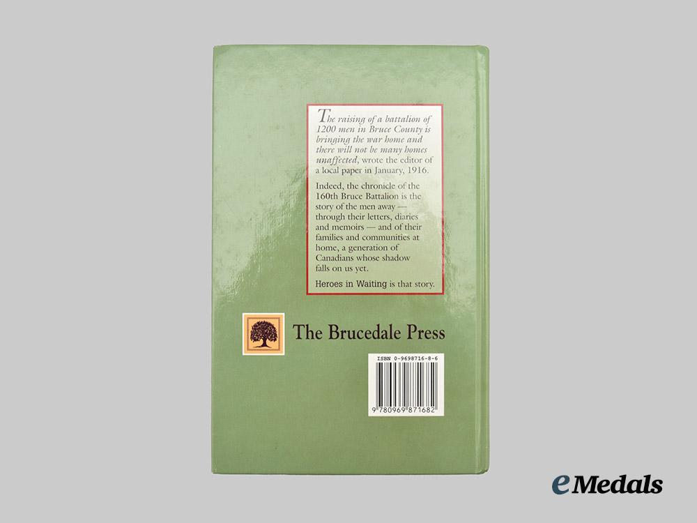 canada,_c_e_f._a_first_war_group_to_lieutenant_siebert,_wounded1918___m_n_c1721