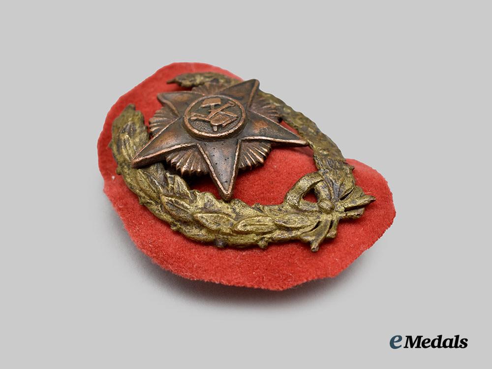 russia,_soviet_union._an“_alliance_of_the_workers_and_peasants_army”_badge___m_n_c1956