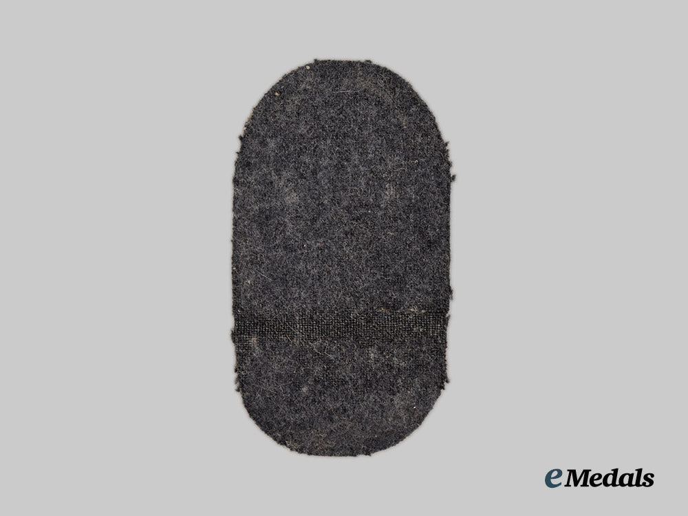 germany,_third_reich._a_luftwaffe_issue_narvik_campaign_shield___m_n_c2543