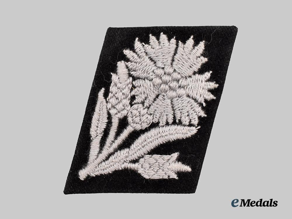 germany,_s_s._a22nd_s_s_volunteer_cavalry_division_collar_tab,_dachau_variant___m_n_c4948