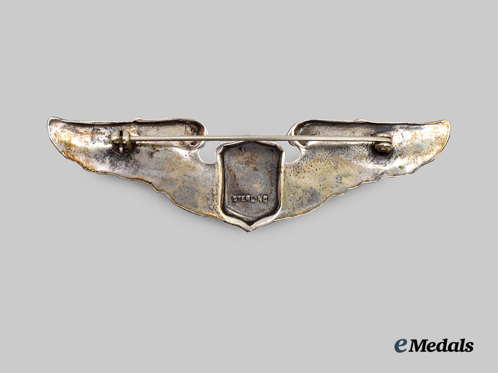 united_states._two_second_world_war_aircrew_and_bombardier_badges___m_n_c5480