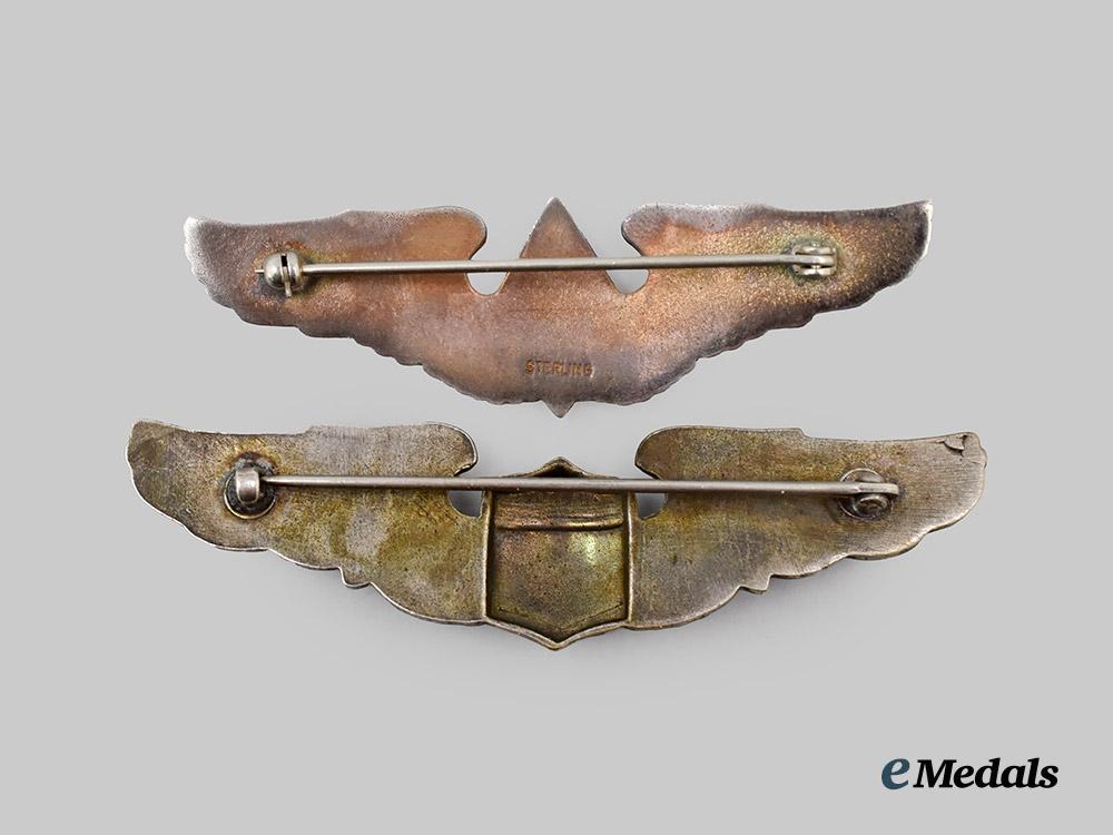 united_states._an_american_volunteer_group_wing_and_w_a_s_p_badge,_c.1943___m_n_c5496