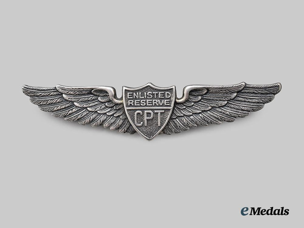 united_states._a_pair_of_c_p_t_wings,_by_danecraft___m_n_c5518