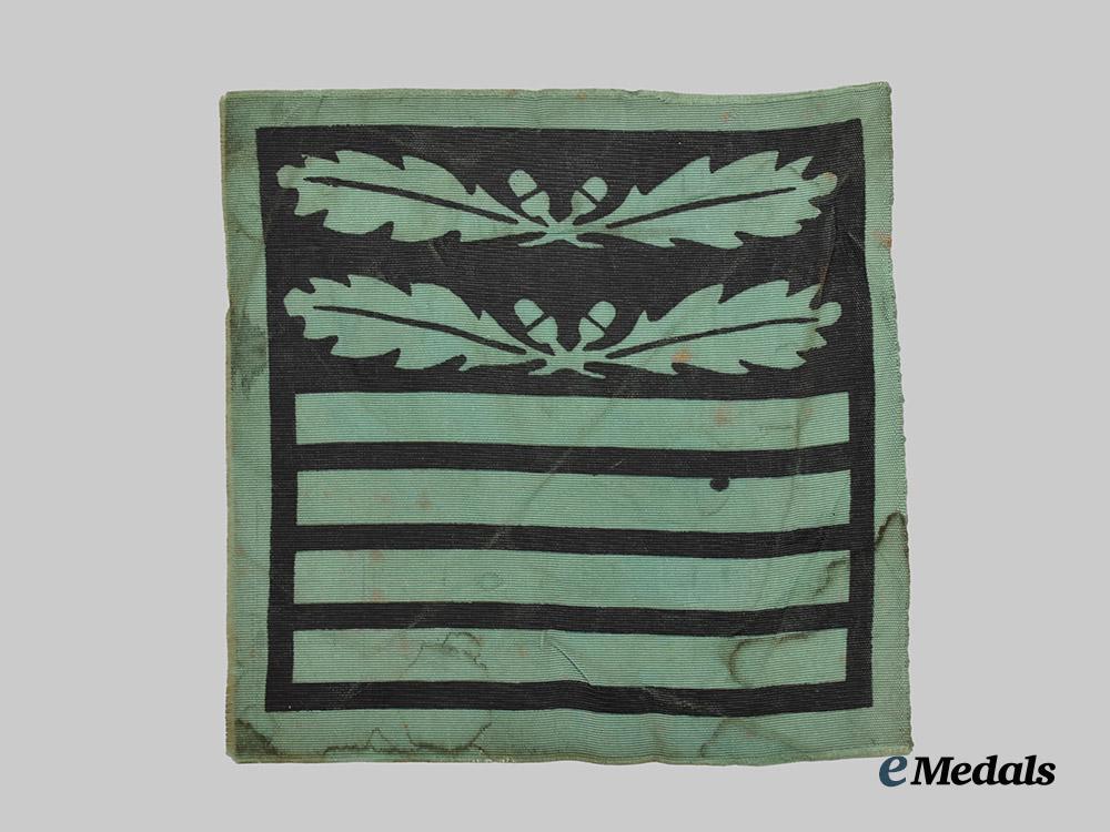 germany,_wehrmacht._a_heer_general/_waffen-_s_s_oberführer_camouflage_rank_insignia___m_n_c6195