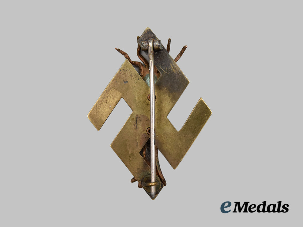 germany,_third_reich._a_germanic_folk_art_patriotic_badge___m_n_c6483