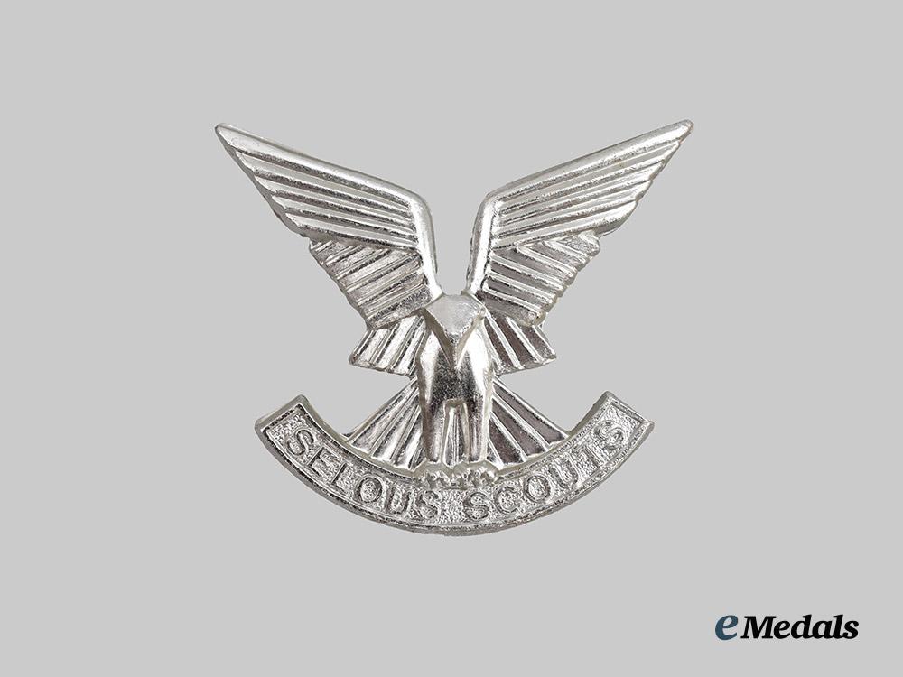 rhodesia,_republic._a_selous_scouts_cap_badge,_second_pattern,_by_reuteler___m_n_c6734