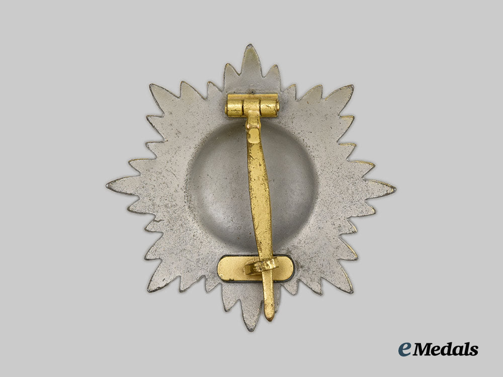 germany,_wehrmacht._an_eastern_peoples_bravery_decoration,_i_class_in_gold,_by_wächtler&_lange___m_n_c6887