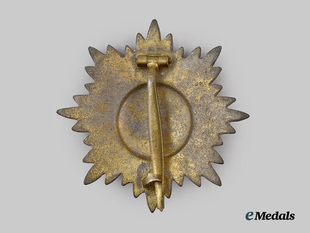 germany,_wehrmacht._an_eastern_peoples_bravery_decoration,_i_class_gold_grade,_by_wächtler&_lange___m_n_c7067