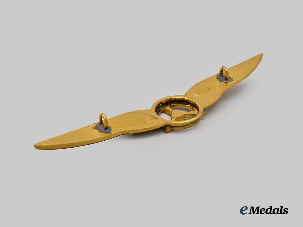 a_royal_netherlands_army_air_flight_mechanic_qualification_badge___m_n_c7137