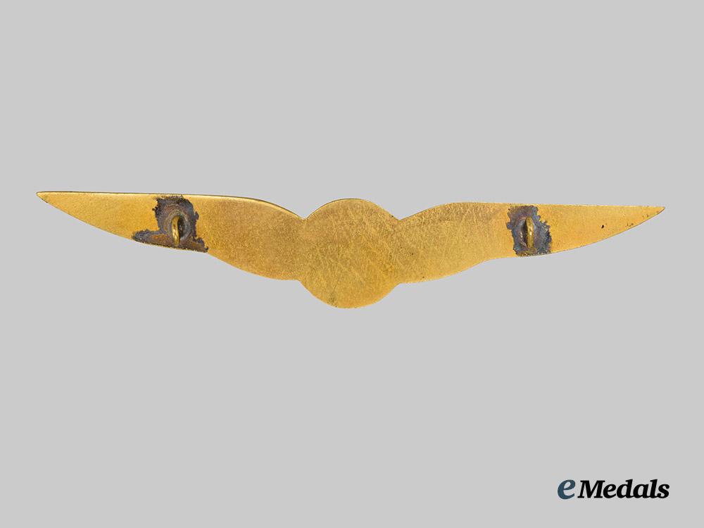 a_royal_netherlands_army_air_observer_qualification_badge___m_n_c7147