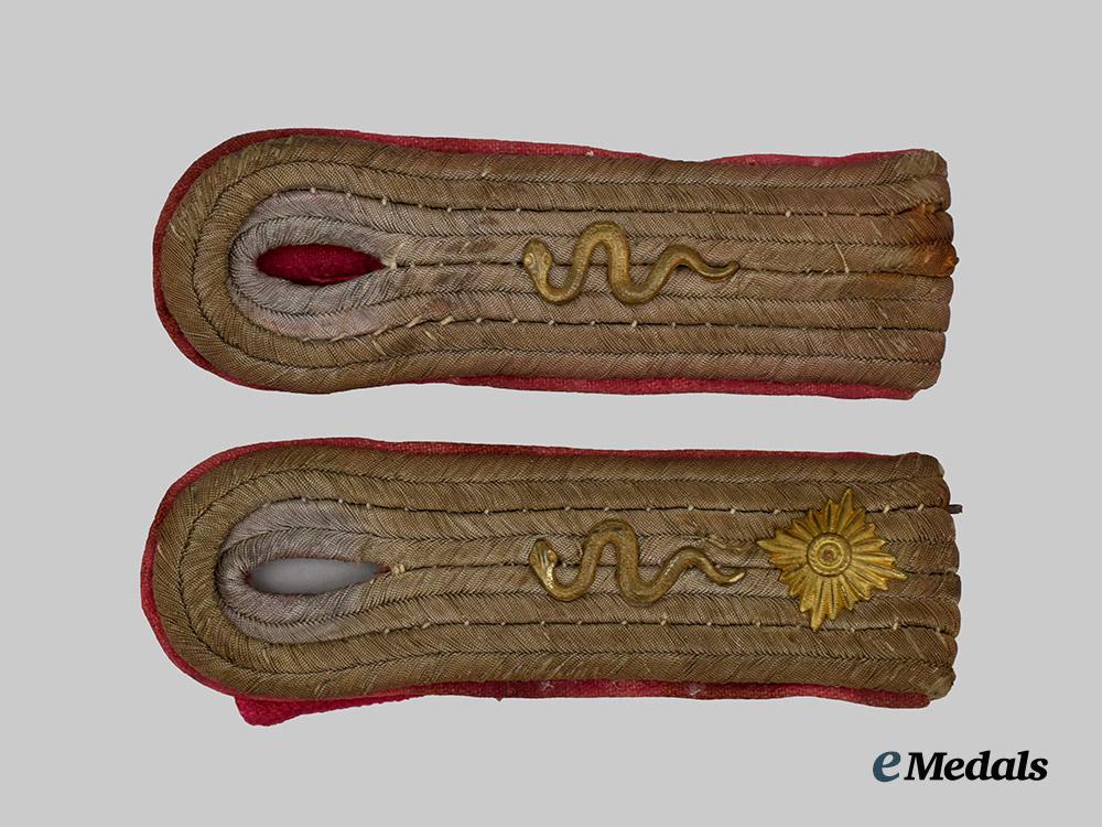 germany,_heer._a_set_of_veterinary_service_oberleutnant_shoulder_boards___m_n_c7274