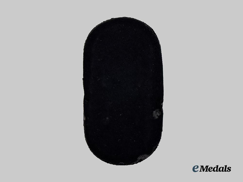 germany,_kriegsmarine._a_narvik_shield___m_n_c7609