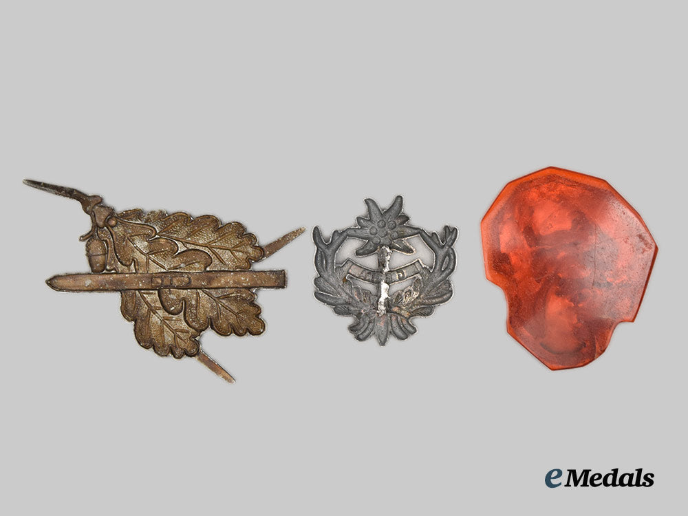 germany,_wehrmacht._a_mixed_lot_of_badges___m_n_c7989