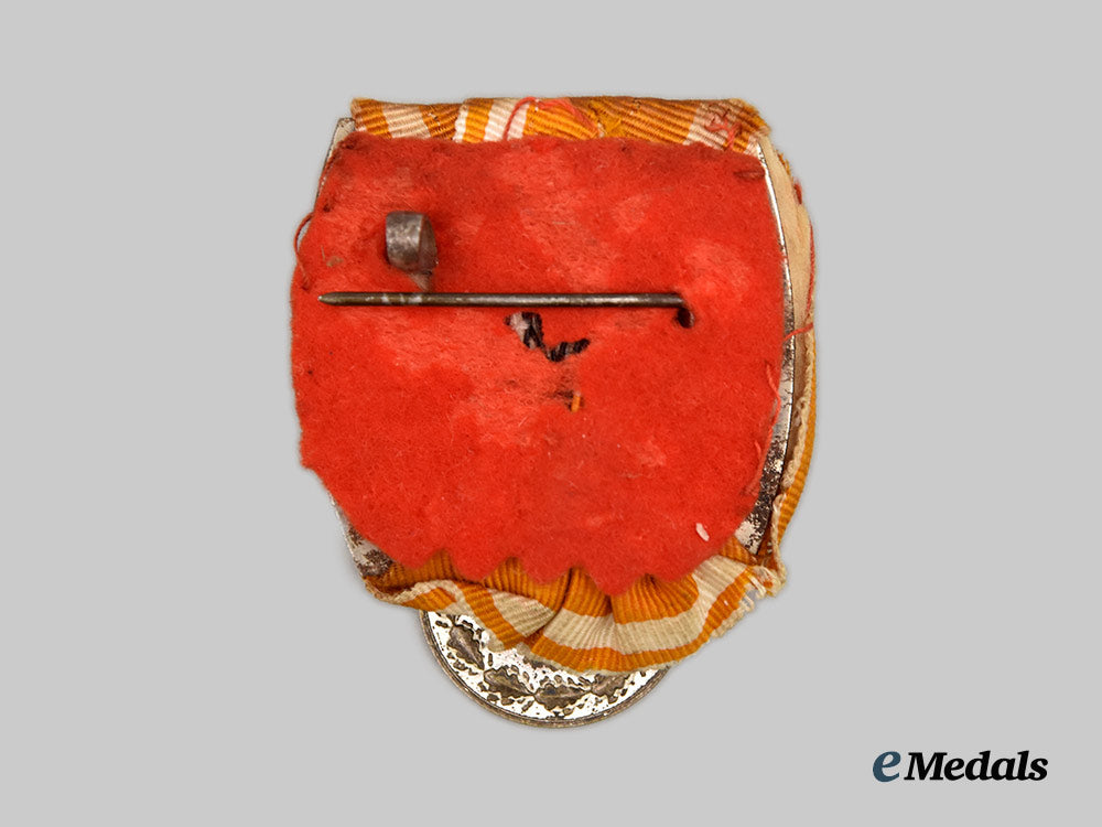 germany,_third_reich._a_life-_saving_medal,_on_parade_mount___m_n_c7998