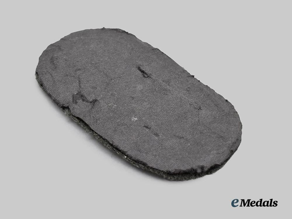 germany,_wehrmacht._a_heer_issue_narvik_campaign_shield___m_n_c8409