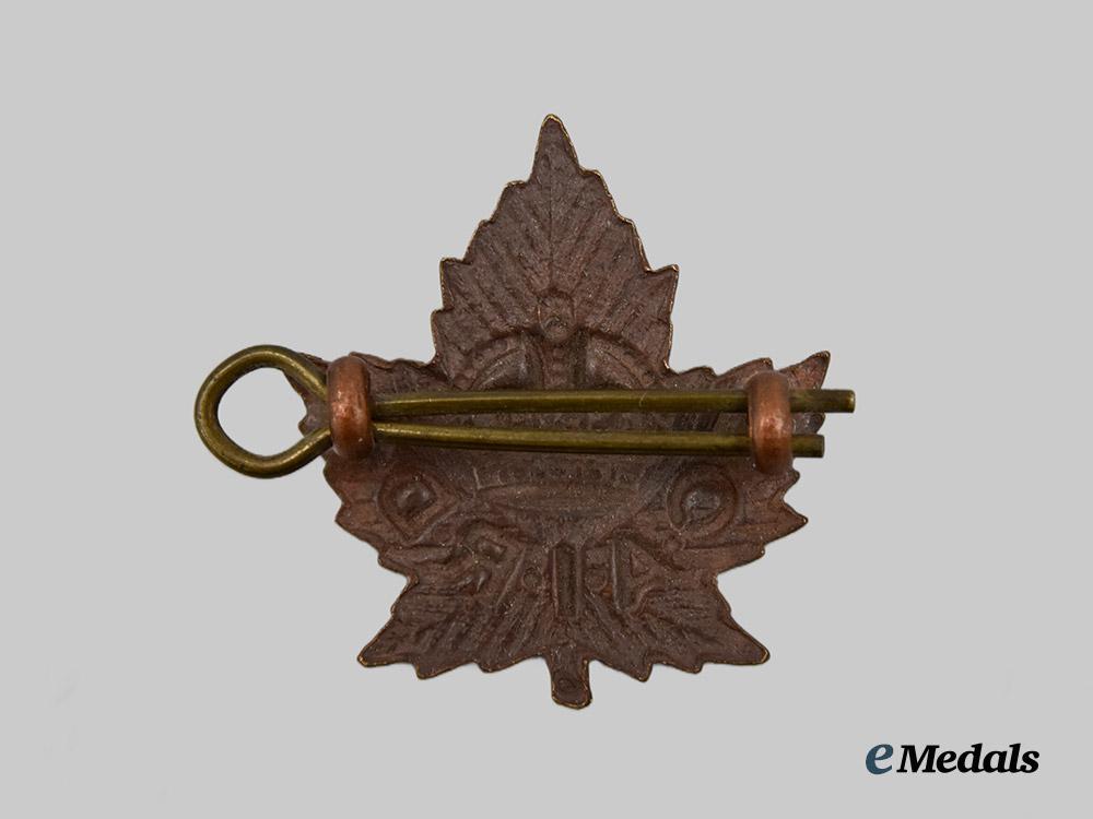canada,_c_e_f._a_rare_canadian_arms_inspection_repair_depot(_c._a._i._r._d.)_collar_badge___m_n_c8714