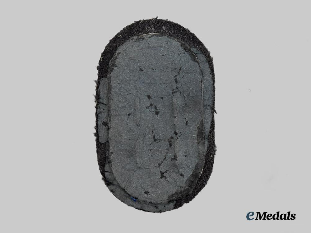 germany,_luftwaffe._a_demjansk_shield___m_n_c9177-_recovered