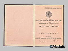 Russia, Soviet Union. A Passport to Chlina Chodes, Jewish National with Third Reich Travel Visas