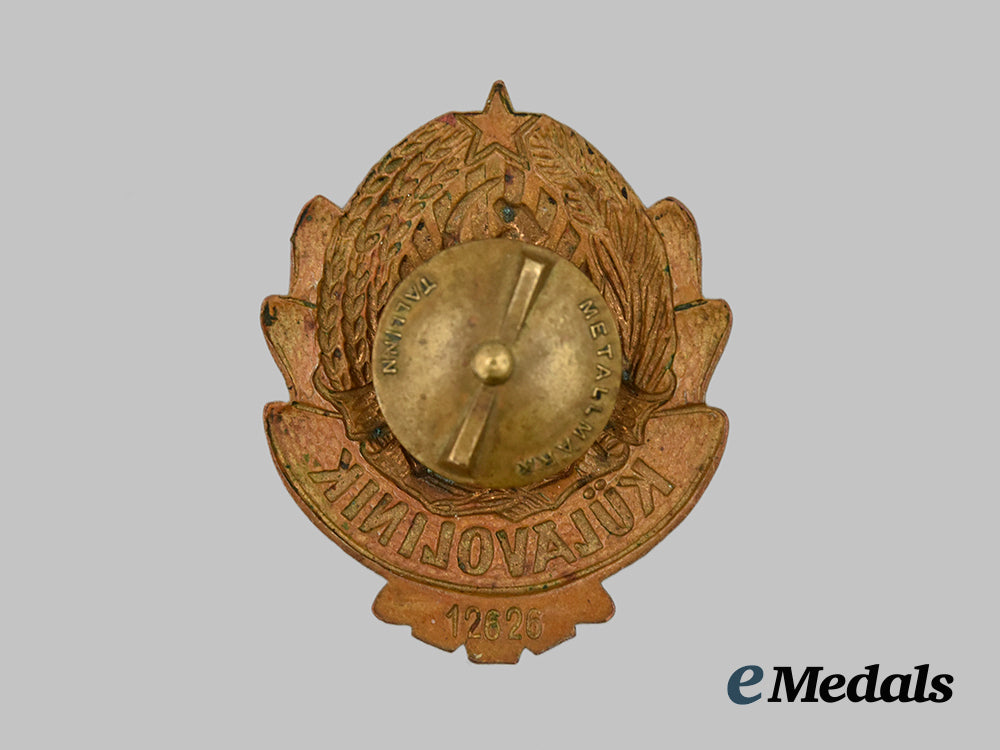 estonia._an_estonia_n_s_v_külavolinik(_village_commissioner)_badge___m_n_c9424